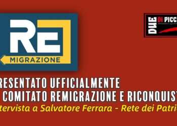 Remigrazione