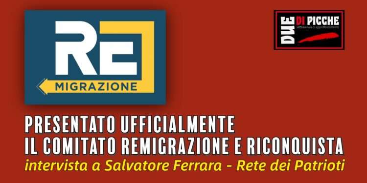Remigrazione