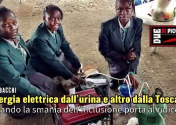 Energia elettrica dall’urina