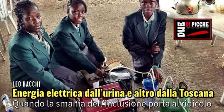 Energia elettrica dall’urina