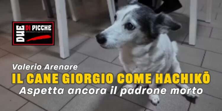 Il cane Giorgio come Hachikō.
