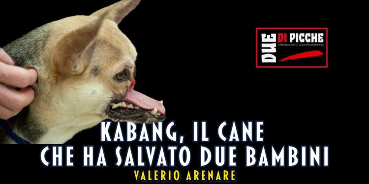 Kabang, il cane che ha salvato due bambini