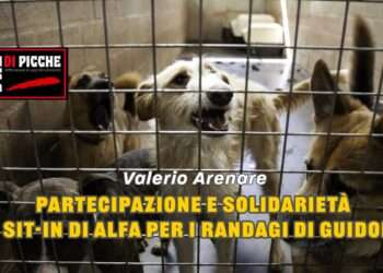 Partecipazione e solidarietà al Sit-In di ALFA per i randagi di Guidonia