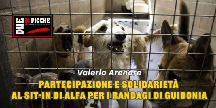 Partecipazione e solidarietà al Sit-In di ALFA per i randagi di Guidonia