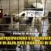 Partecipazione e solidarietà al Sit-In di ALFA per i randagi di Guidonia
