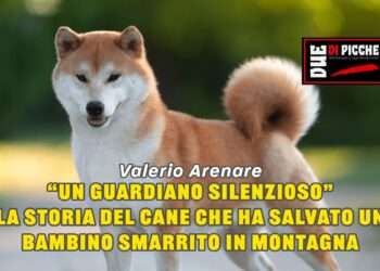 “Un guardiano silenzioso”: la storia del cane che ha salvato un bambino smarrito in montagna