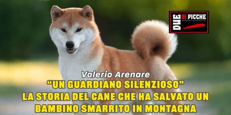 “Un guardiano silenzioso”: la storia del cane che ha salvato un bambino smarrito in montagna
