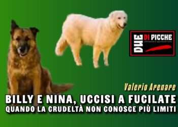 Billy e Nina