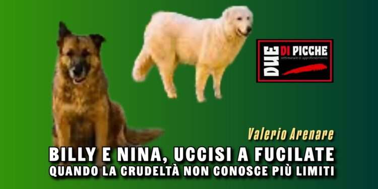 Billy e Nina