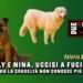 Billy e Nina