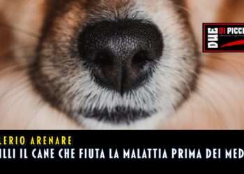 Chilli il cane cheese fiuta