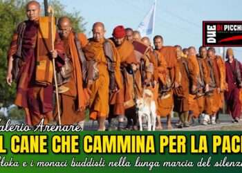 Il cane che cammina per la pace: Aloka e i monaci buddisti