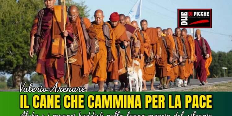 Il cane che cammina per la pace: Aloka e i monaci buddisti