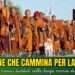 Il cane che cammina per la pace: Aloka e i monaci buddisti