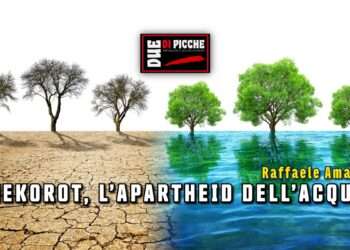 MEKOROT, L’APARTHEID DELL’ACQUA