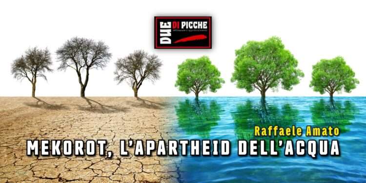 MEKOROT, L’APARTHEID DELL’ACQUA