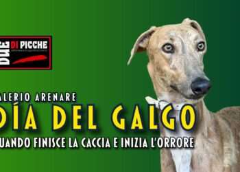 Día del Galgo, quando finisce la caccia e inizia l’orrore