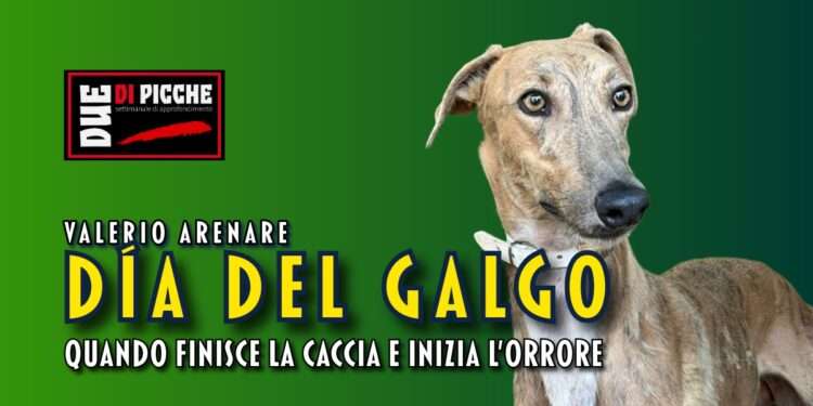 Día del Galgo, quando finisce la caccia e inizia l’orrore