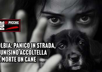 Olbia: panico in strada, tunisino accoltella a morte un cane