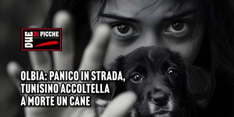 Olbia: panico in strada, tunisino accoltella a morte un cane
