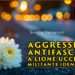 lione camerata ucciso