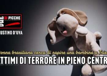 Donna brasiliana cerca di rapire una bambina a Trieste: attimi di terrore in pieno centro