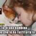 Il silenzio di una bambina e il cane che le ha restituito la voce