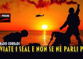 Inviate i SEAL e non se ne parli più
