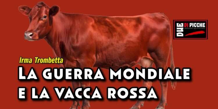 La guerra mondiale e la vacca rossa