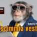 La scimmia vestita