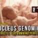 Nucleus Genomics: produci il tuo bambino perfetto