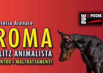 Roma, blitz animalista contro i maltrattamenti