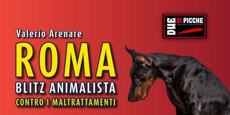 Roma, blitz animalista contro i maltrattamenti
