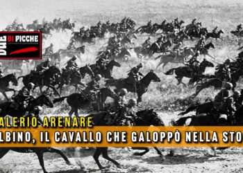 Albino, il cavallo che galoppò nella storia