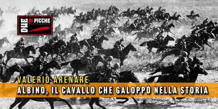 Albino, il cavallo che galoppò nella storia