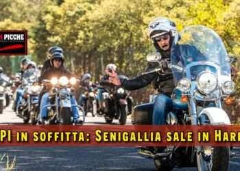 Anpi in soffitta: Senigallia sale in Harley