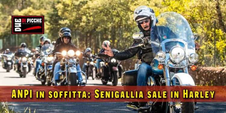 Anpi in soffitta: Senigallia sale in Harley