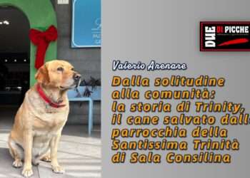 Dalla solitudine alla comunità: la storia di Trinity, il cane salvato dalla parrocchia della Santissima Trinità di Sala Consilina