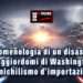 Fenomenologia di un disastro: i maggiordomi di Washington e il nichilismo d'importazione