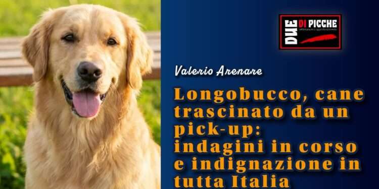 Longobucco cane