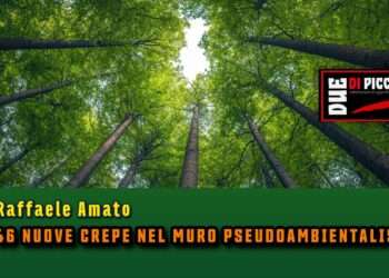 46 NUOVE CREPE NEL MURO PSEUDOAMBIENTALISTA