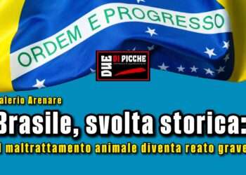 Brasile, svolta storica: il maltrattamento animale diventa reato grave