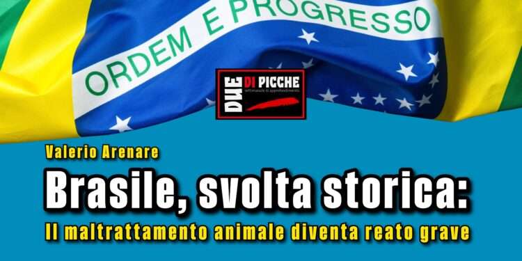 Brasile, svolta storica: il maltrattamento animale diventa reato grave