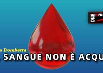 Il sangue non è acqua