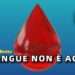Il sangue non è acqua