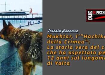 Mukhtar, l’“Hachikō della Crimea”