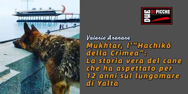 Mukhtar, l’“Hachikō della Crimea”