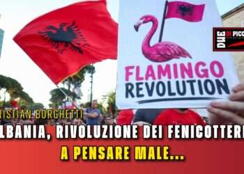 Albania, rivoluzione dei fenicotteri: a pensare male...