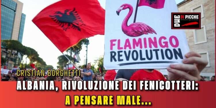 Albania, rivoluzione dei fenicotteri: a pensare male...