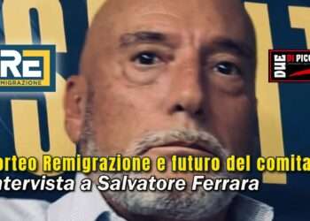 Corteo Remigrazione e futuro del comitato